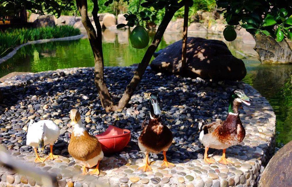 探秘神秘的小镇,探秘边境风景