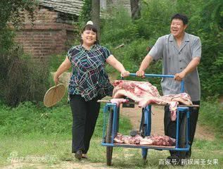 乡村题材的电视剧有哪些,有哪些关于乡村类电视剧