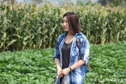 乡村题材的电视剧有哪些,有哪些关于乡村类电视剧