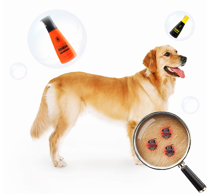 狗狗好用的沐浴露不刺激,好品牌的狗狗沐浴露