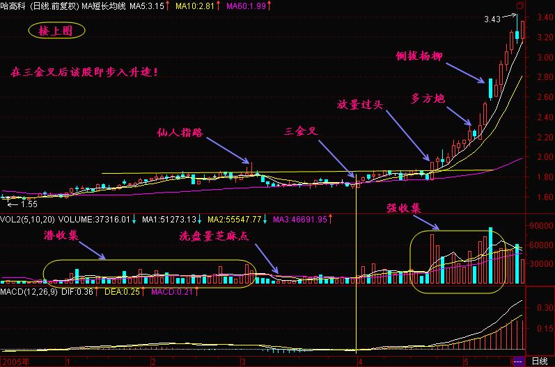 macd强势选股预警公式,成功率极高的macd选股方法