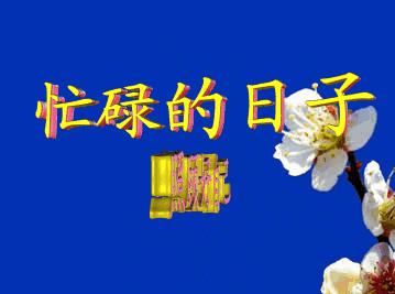 有些东西妈妈给不了你,有的东西是妈妈给不了的