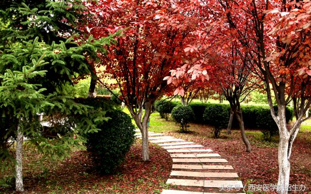 从兼职到拥有四家加盟店，陕西这个女大学生这样跳出寒门的禁锢