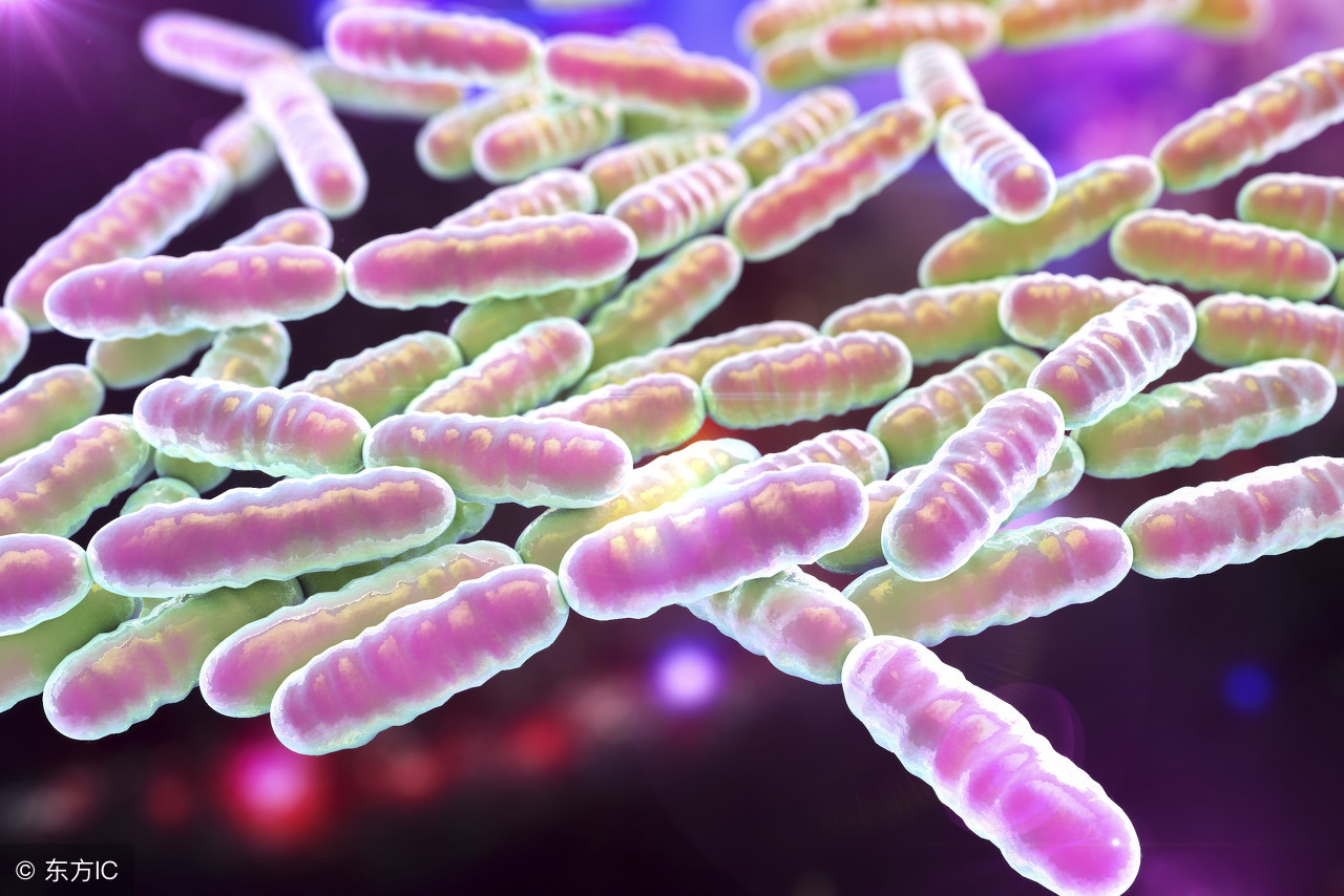 没有副作用的益生菌婴幼儿推荐,没有依赖性的益生菌