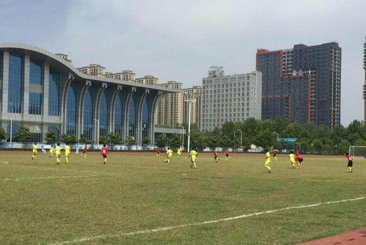 2017年男子乙组足球,2023青少年足球联赛各组冠军