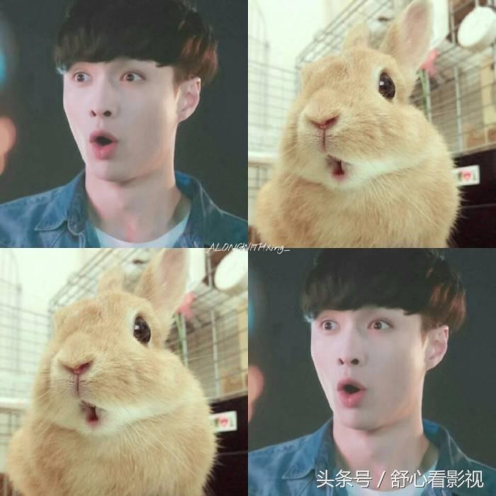 鲜肉难当，好容易躲过了黑粉，没躲过自己工作室！