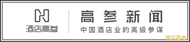 爱翼主题酒店设计咨询方案,爱翼主题酒店设计事务所案例