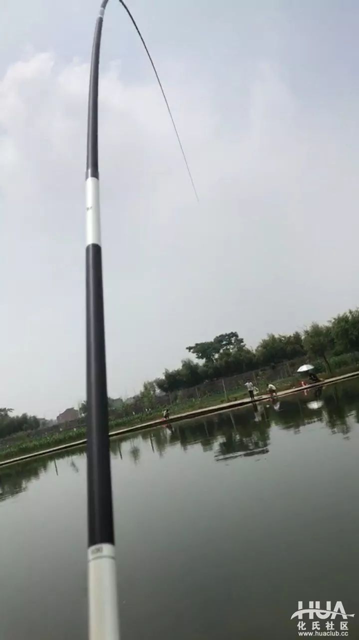 一味ex5米4野钓,一味ex鱼竿黑坑