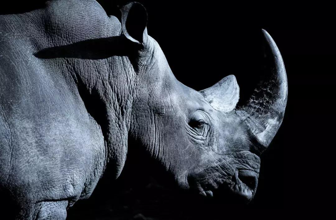 一红二黑三白文玩禁忌,文玩三大违禁品一红二黑三白