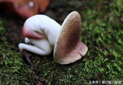 女生高考撞上生理期,女生高考遇到生理期怎么办