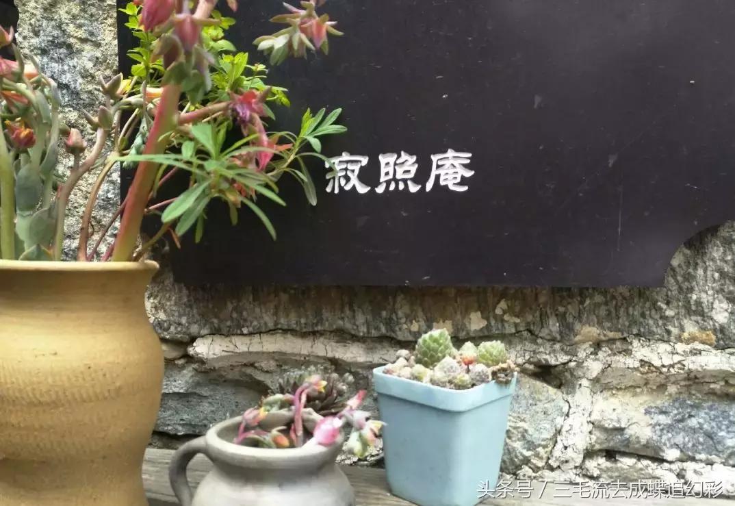 大理5月有什么玩的吃的,五月中旬大理适合旅游吗