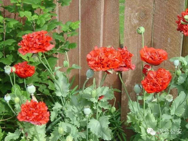 吸毒检测一般多久出结果,检测吸毒尿液几道杠是阴性