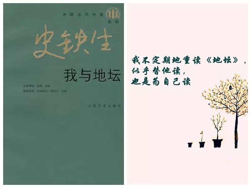 五本书养成读书好习惯,家庭必备五本书