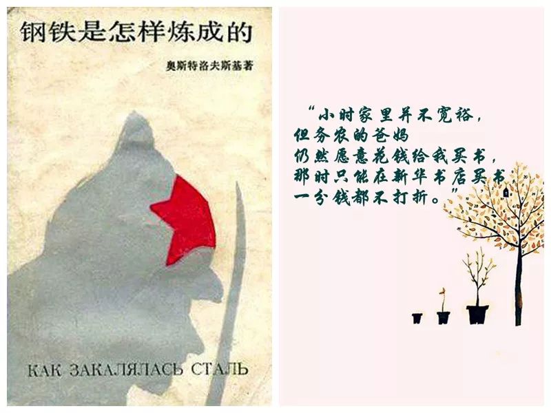 五本书养成读书好习惯,家庭必备五本书