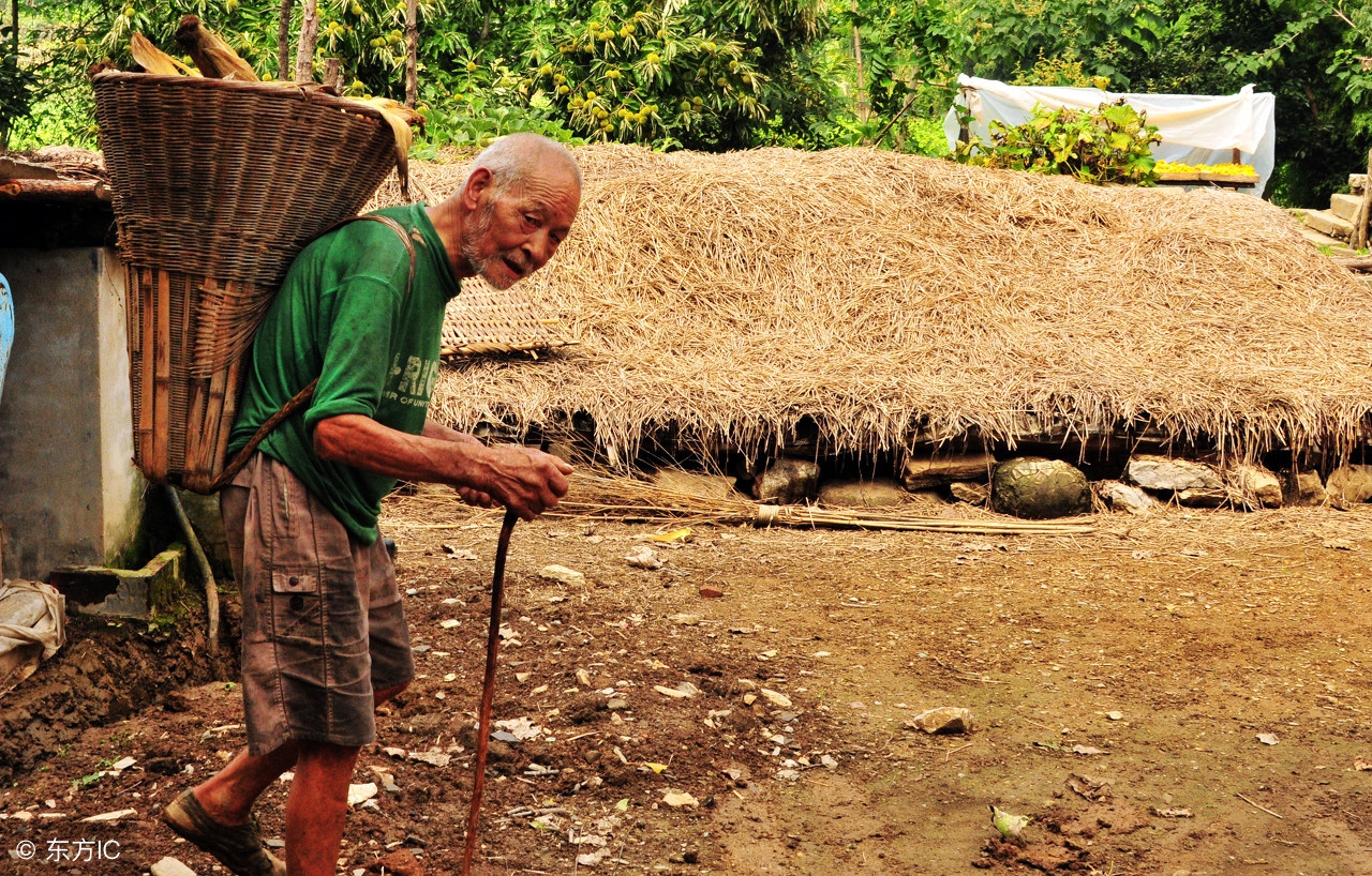 八字看贫富命运,八字看富与贫