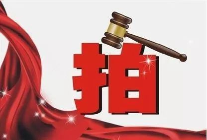 司法网拍还要斗气竞价?法官提醒公众理性参与总第871期