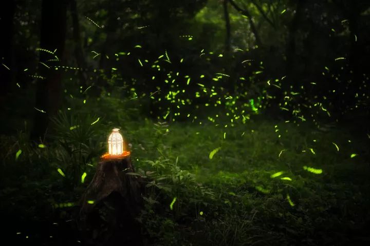 绱㈠凹鍏ラ棬鐩告満鎺ㄨ崘,绱㈠凹鍗曞弽鐩告満鍏ラ棬鏁欑▼