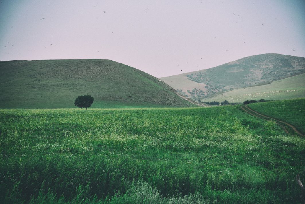 阿尔山一个小城,中国瑞士小镇阿尔山