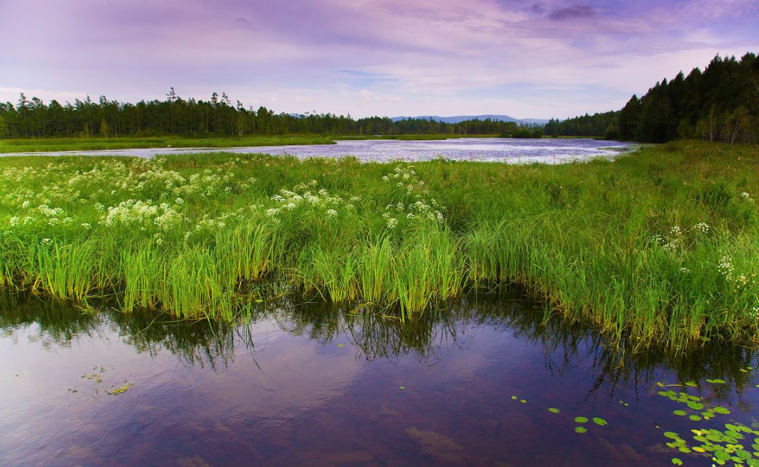 阿尔山一个小城,中国瑞士小镇阿尔山