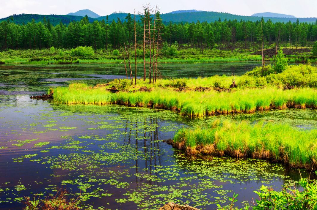 阿尔山一个小城,中国瑞士小镇阿尔山