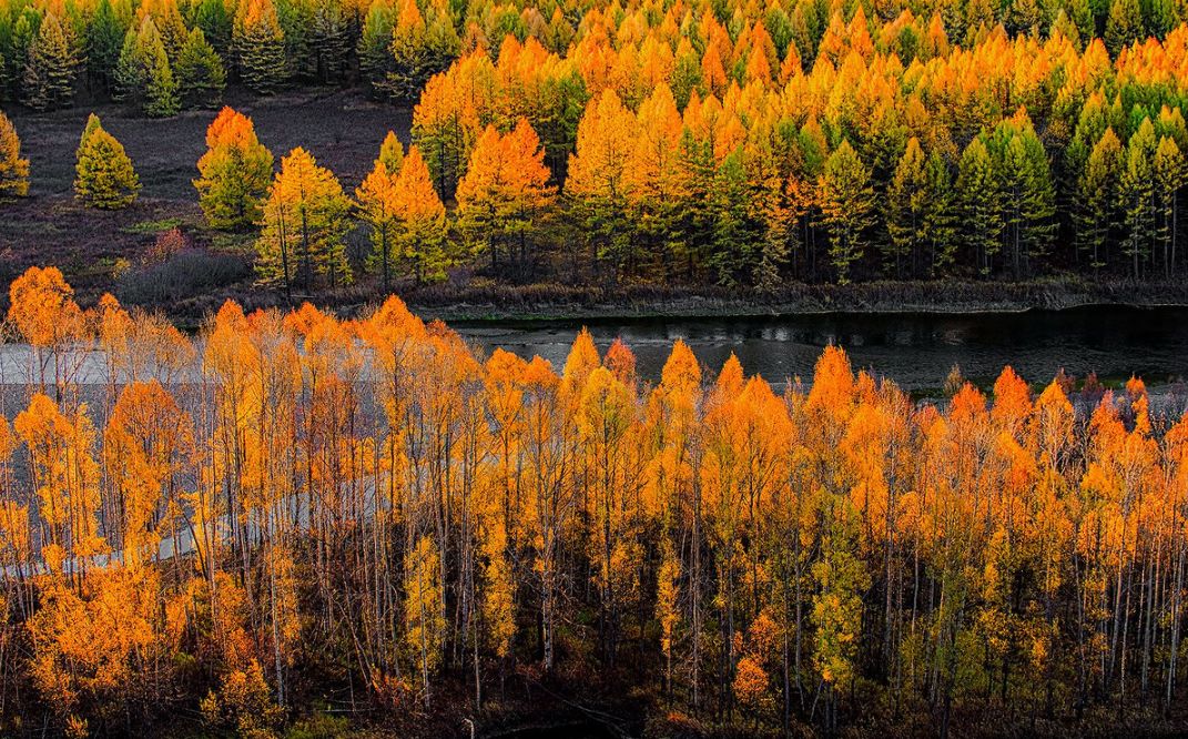 阿尔山一个小城,中国瑞士小镇阿尔山