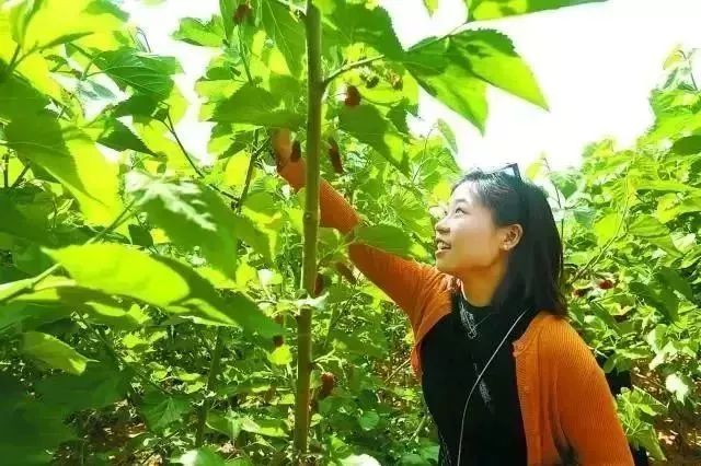 孟津周边一日游的绝佳去处,孟津秋季游必去的地方