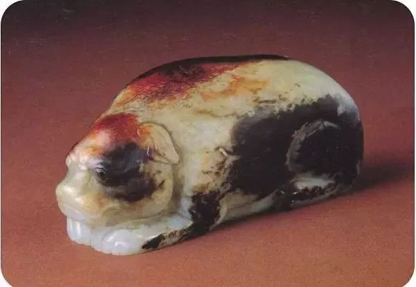 关于狗主子的案例,狗主子的悲惨生活