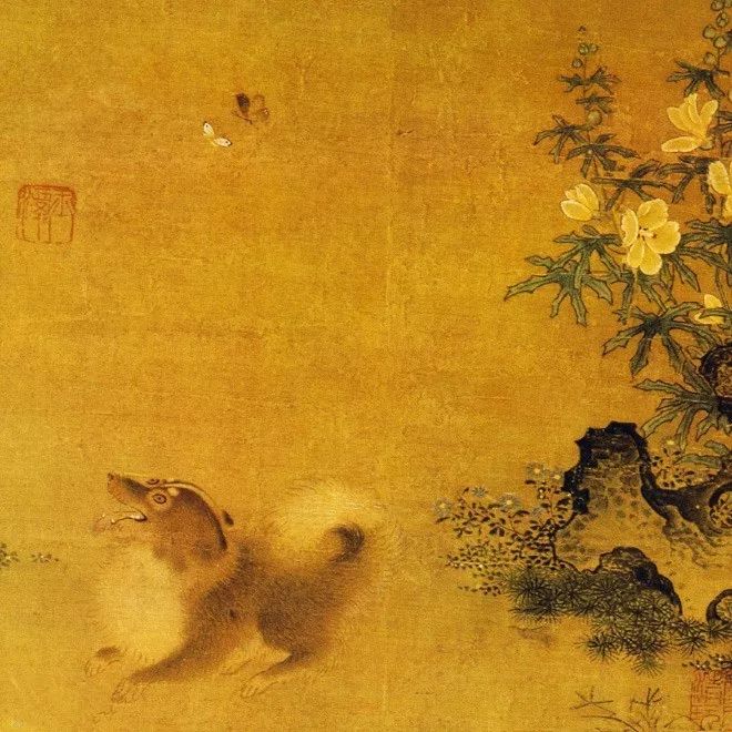 关于狗主子的案例,狗主子的悲惨生活