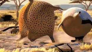 Coach,你努力追求18岁少女的样子真好看!