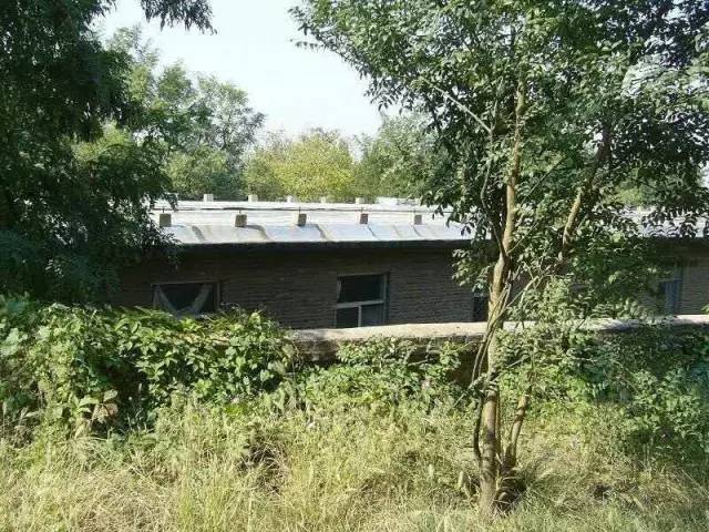 淄博淄矿二中,淄博淄矿第一中学