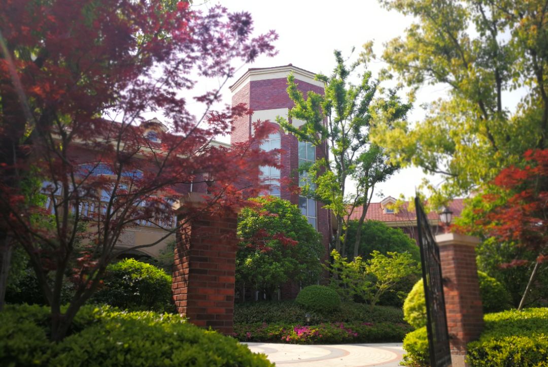 崇明森林酒店,崇明森林旅游度假酒店