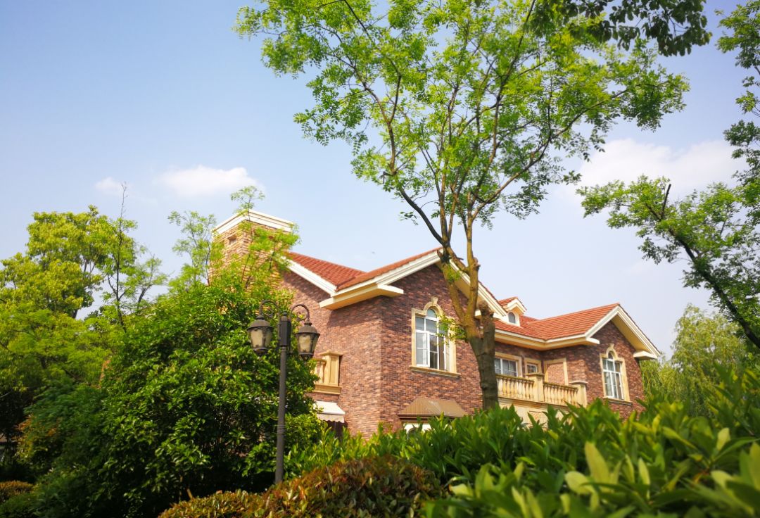 崇明森林酒店,崇明森林旅游度假酒店