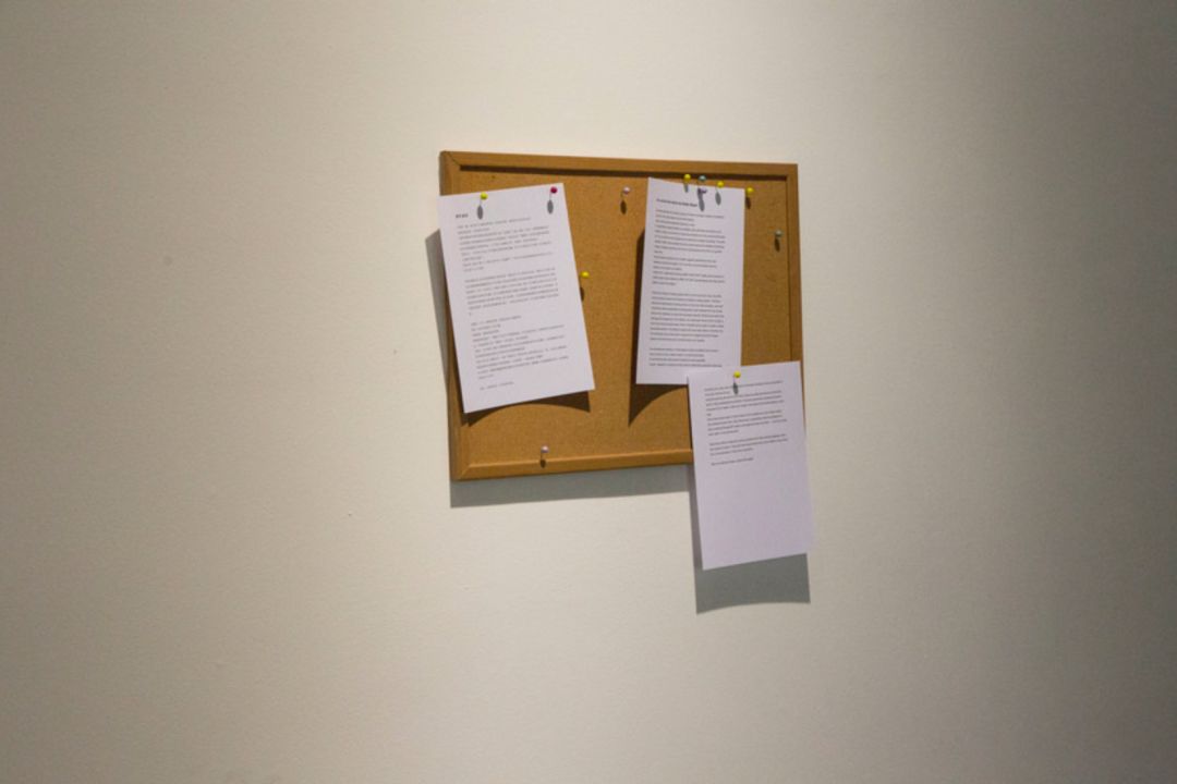 碎片.txt|孑孓社:共享“共享叙事”