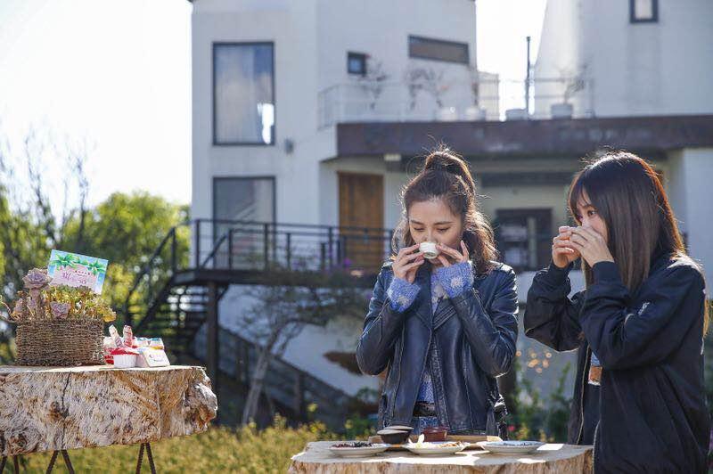 蜜食记第二季简介,蜜食记第一季综艺