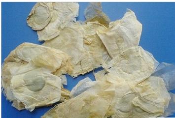 那些你以为很美的中药名,有趣的中药名称大全集