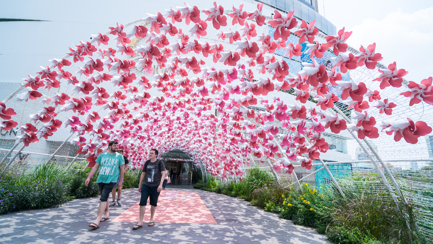 泰国旅游曼谷清迈攻略,泰国清迈的旅游攻略