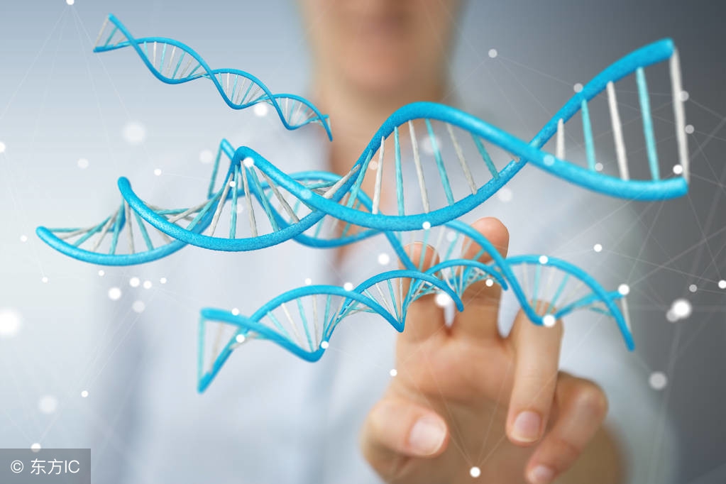 汗毛缩在毛囊里是怎么回事,汗毛蜷缩在毛孔里就是戳不出来