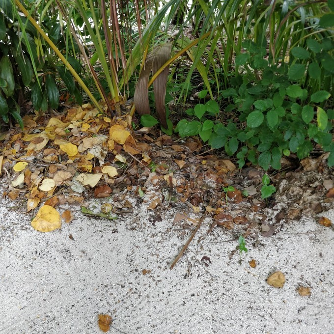 马尔代夫奥瑞格卡纳塔岛,蜜月旅行推荐马尔代夫