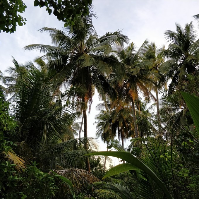 马尔代夫奥瑞格卡纳塔岛,蜜月旅行推荐马尔代夫