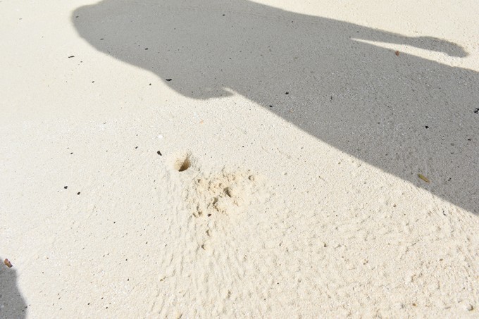 马尔代夫奥瑞格卡纳塔岛,蜜月旅行推荐马尔代夫