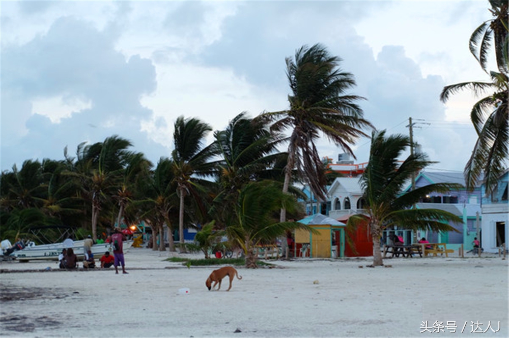 伯利兹陆路去危地马拉,伯利兹陆路过境危地马拉