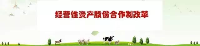 广东农村集体土地产权制度改革,全国农村集体产权改革