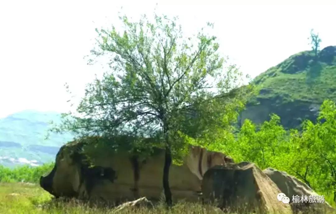 周末去哪玩?榆林周边竟藏着一处原生态秘境,人少景美还免费!