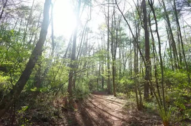 长野县旅游景点,日本长野县旅游