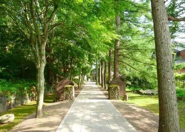 长野县旅游景点,日本长野县旅游