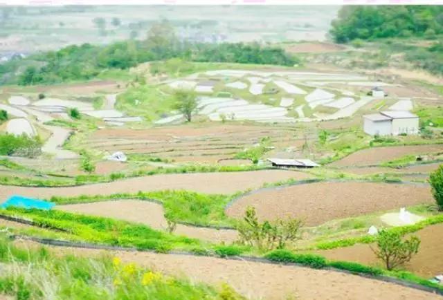 长野县旅游景点,日本长野县旅游