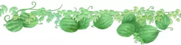 炎炎夏日当心皮肤病袭击,夏季预防紫外线过敏的化妆品