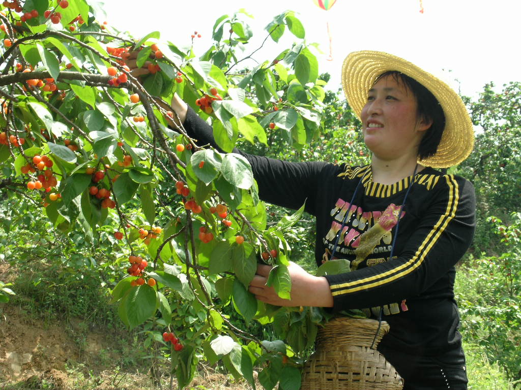 发现原生态风景,发现原生态好物