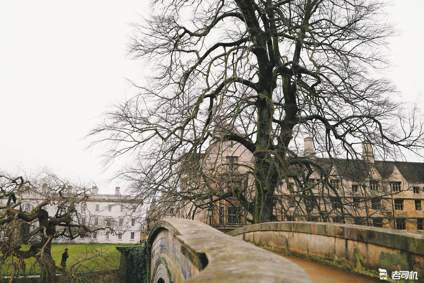 英国剑桥的康桥,英国剑桥大学的康桥