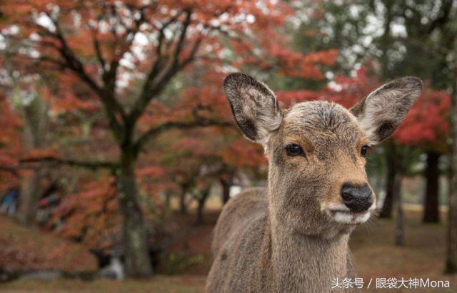 你有新的消息请注意查收,你有新的消息需要查收吗